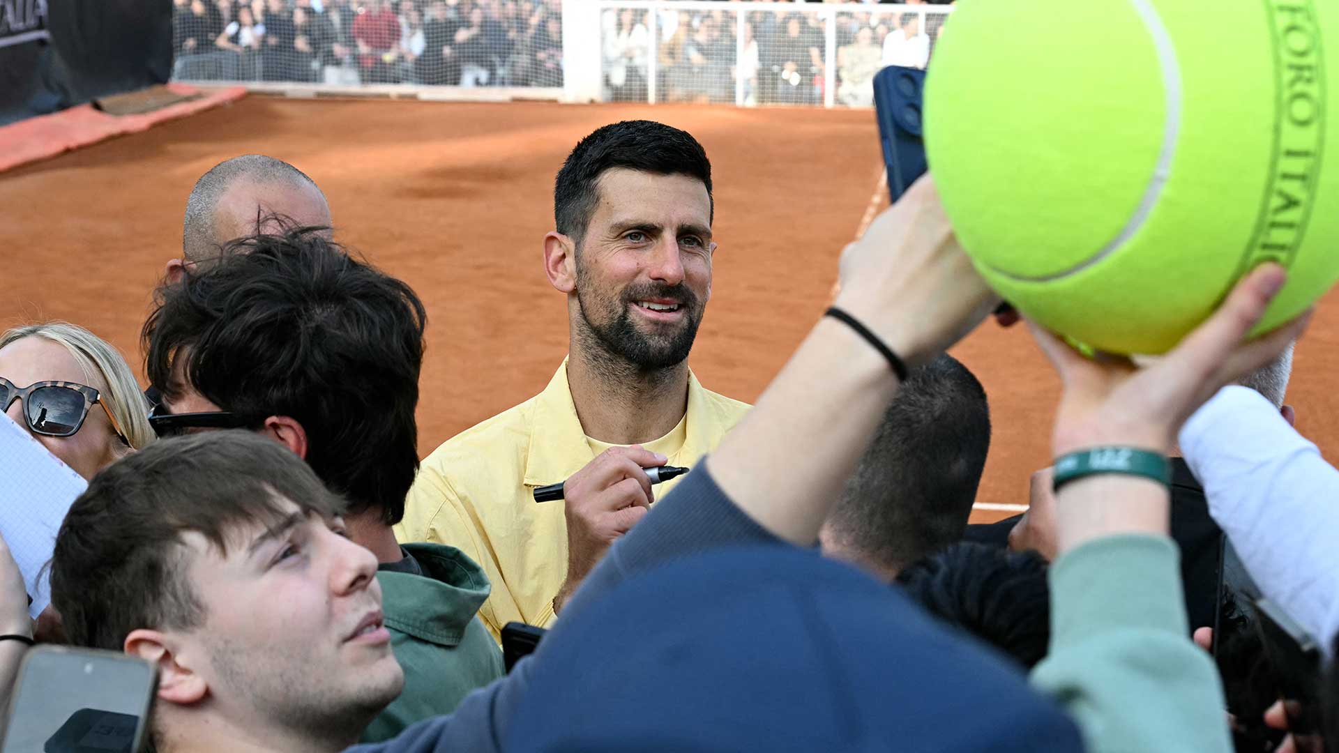 Novak Djokovic 